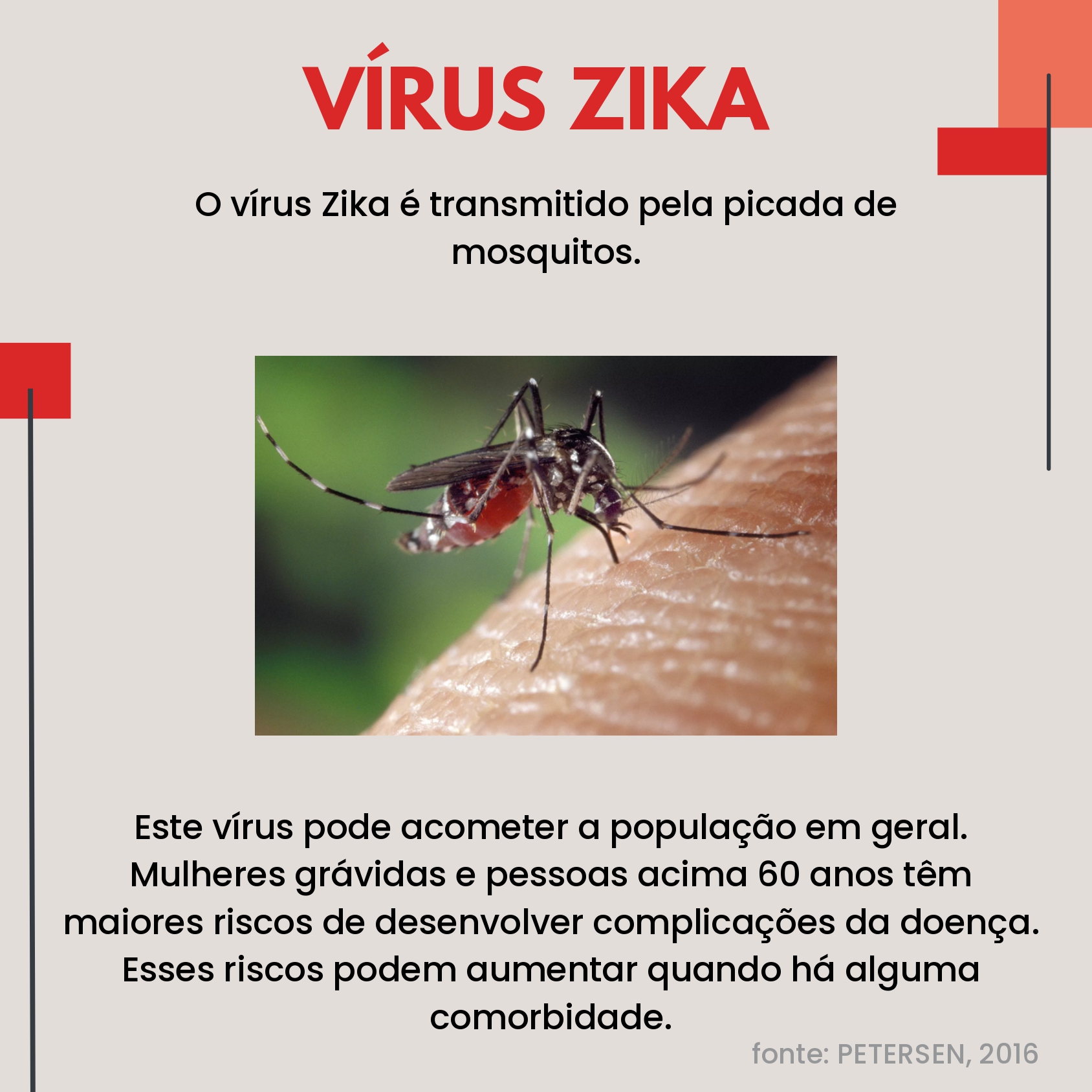Vírus Zika 2 page 0002