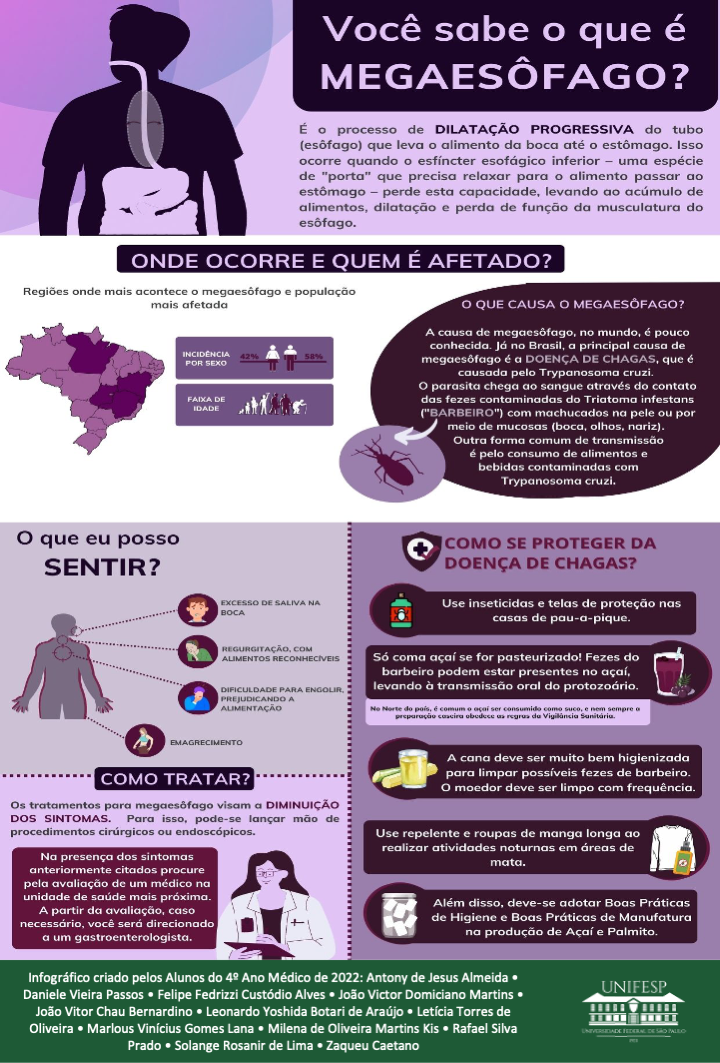 Infográfico da Turma B 2022