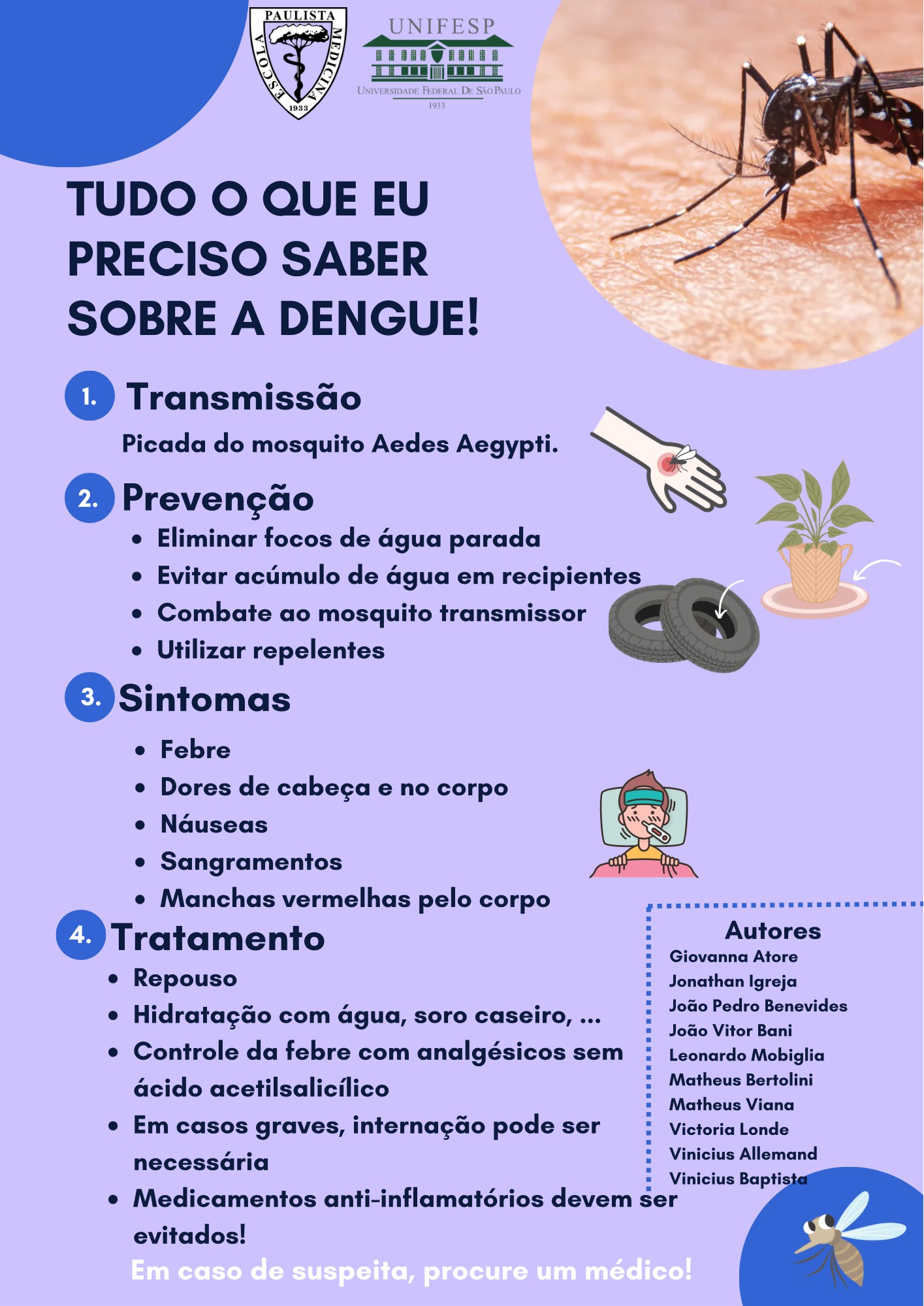 Tudo O Que Você Precisa Saber Sobre A Dengue 